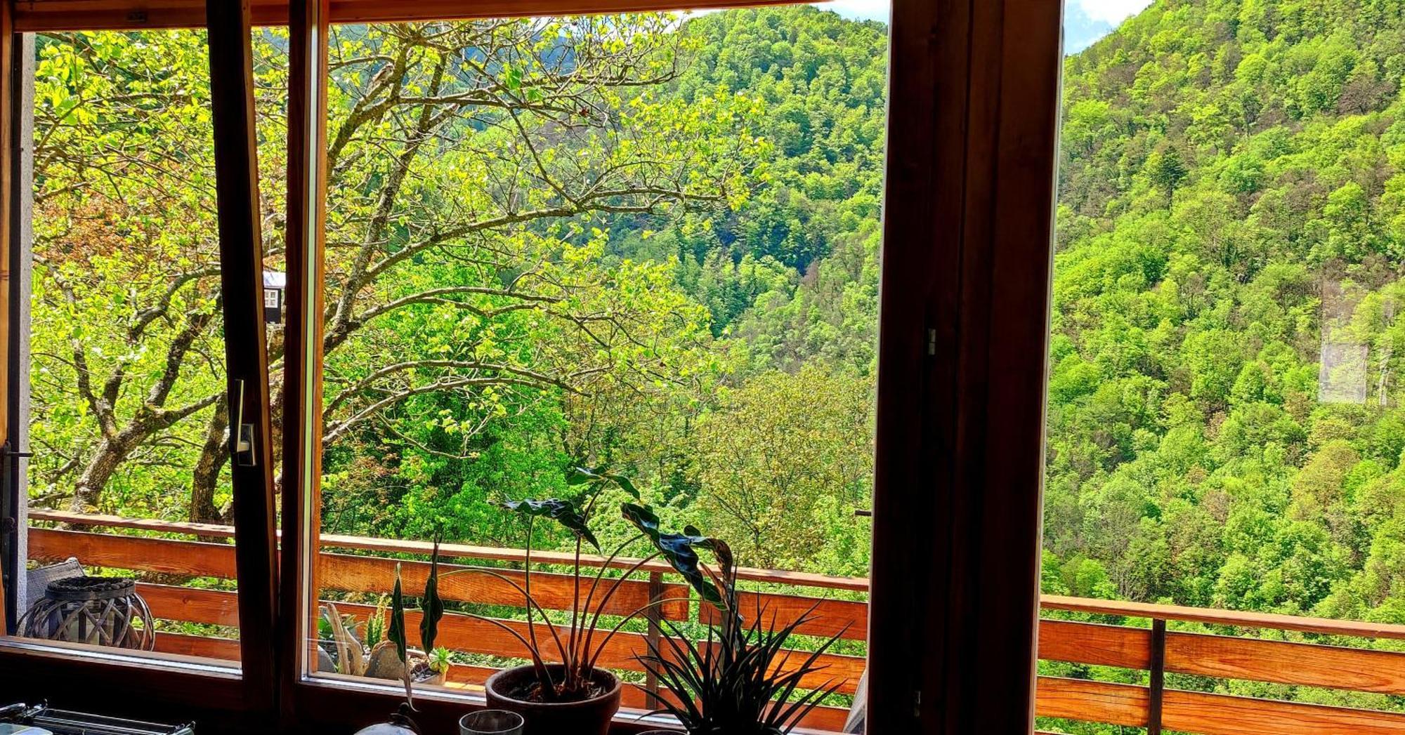 Moksha Slovenia تولمين المظهر الخارجي الصورة